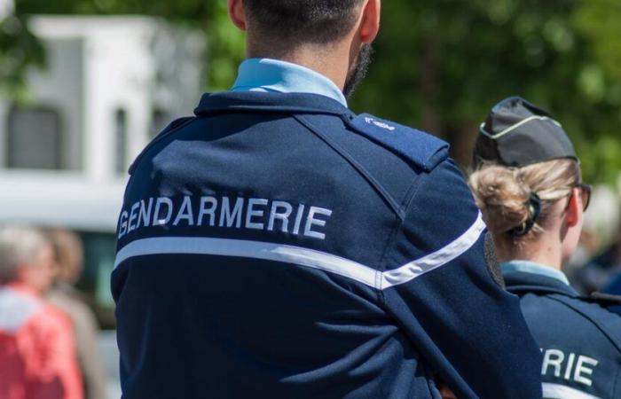 Adolescente di 13 anni scomparsa in Bretagna: caccia organizzata venerdì