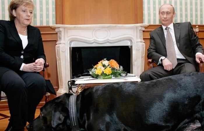 Vladimir Putin si rammarica di aver spaventato la Merkel con il suo cane