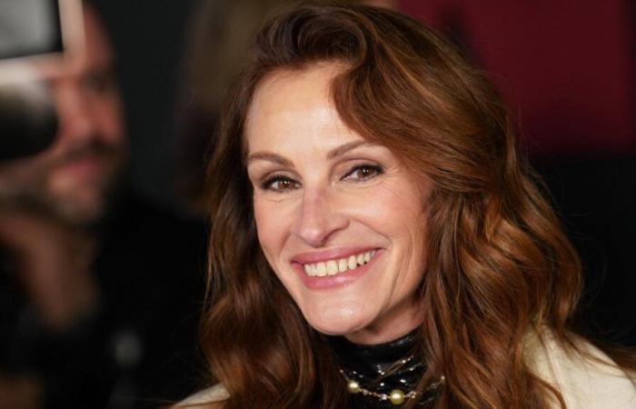 ecco perché Julia Roberts si rifiutò di recitare nel sequel di un film cult