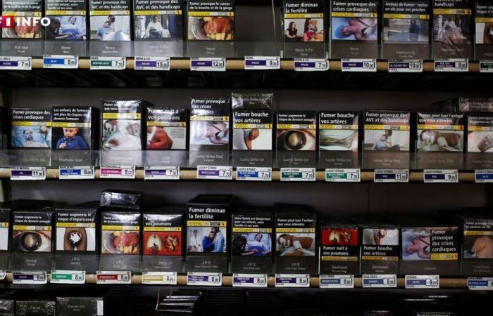 Tabacco: aumenterà il prezzo dei pacchetti di sigarette nel 2025?