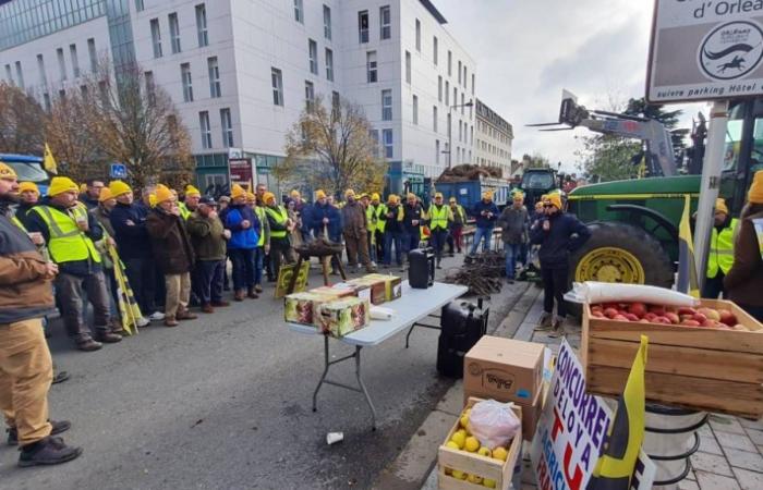 Si conclude la manifestazione dei contadini di Orléans: “Non otteniamo nulla, sperano che smobilitiamo”