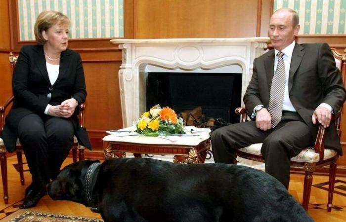 Putin si scusa con la Merkel per il cane durante l’incontro a Sochi