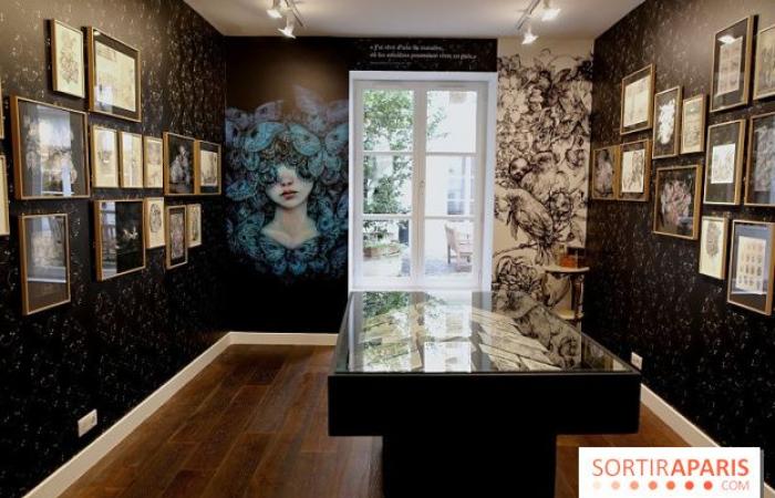 Benjamin Lacombe presenta “Papillon Noir”, la mostra gratuita alla Galerie Gallimard, le nostre foto