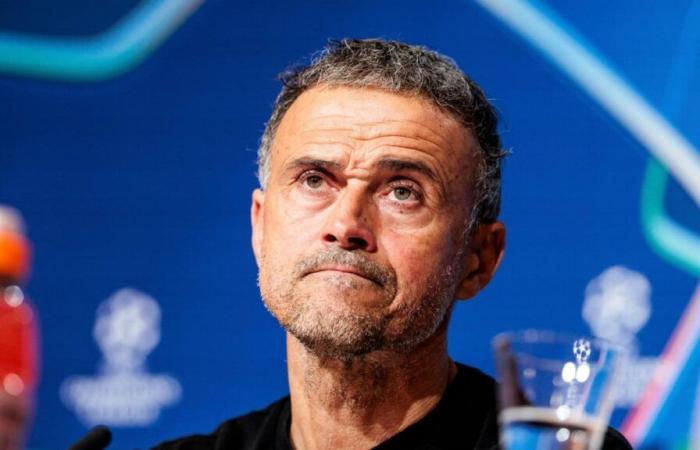 PSG: Luis Enrique fallisce “uno dei migliori d'Europa”, ha le allucinazioni