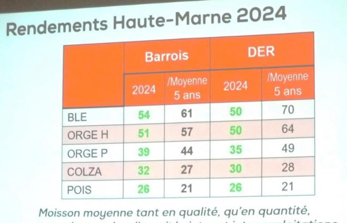 Situazione agricola nel Nord-Haute-Marne al 2024: valutazioni contrastanti