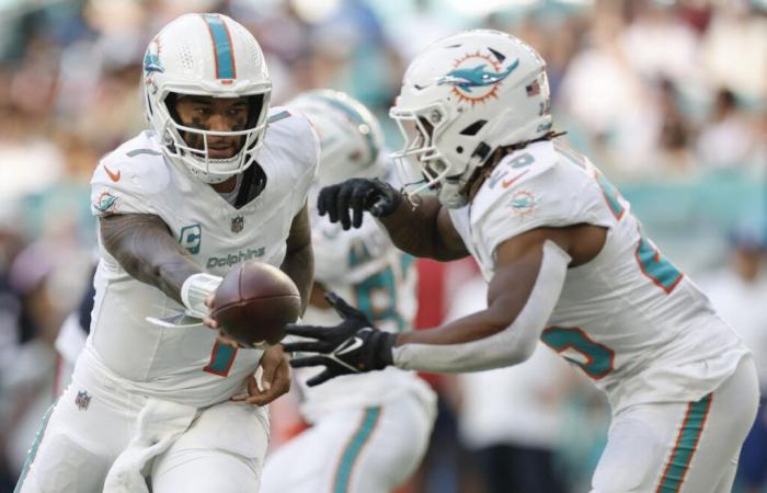 Partita del Giorno del Ringraziamento tra Miami Dolphins e Green Bay Packers: come guardarla, ora del calcio d'inizio e altro ancora