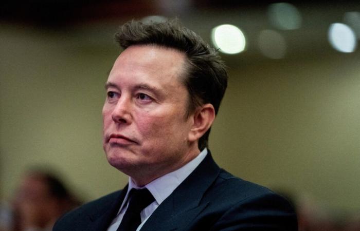 Elon Musk prende di mira pubblicamente i dipendenti pubblici che vuole licenziare