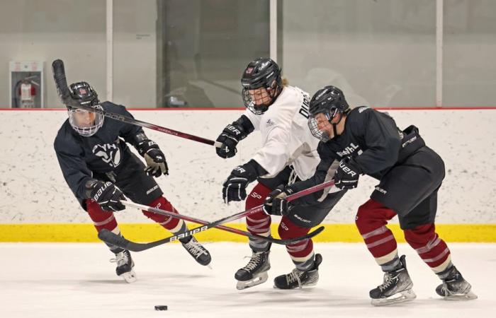 Vittoria di Montreal | Quando “la vita si fa dura” per Catherine Dubois