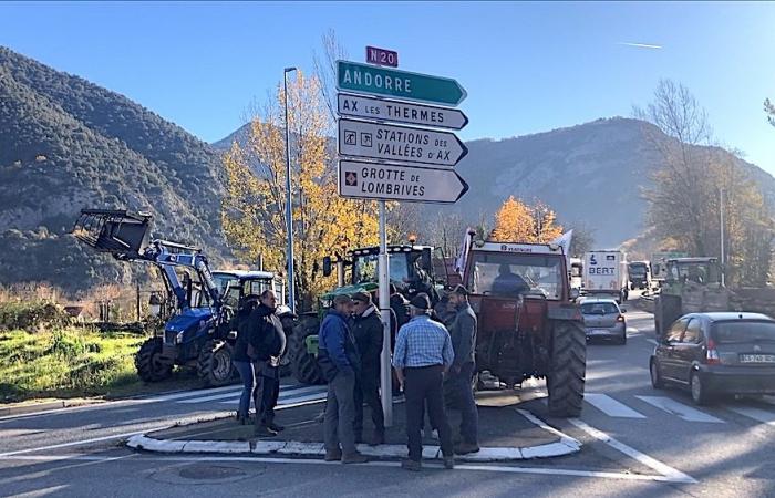 Blocco della RN20 a Tarascona: agricoltori in azione