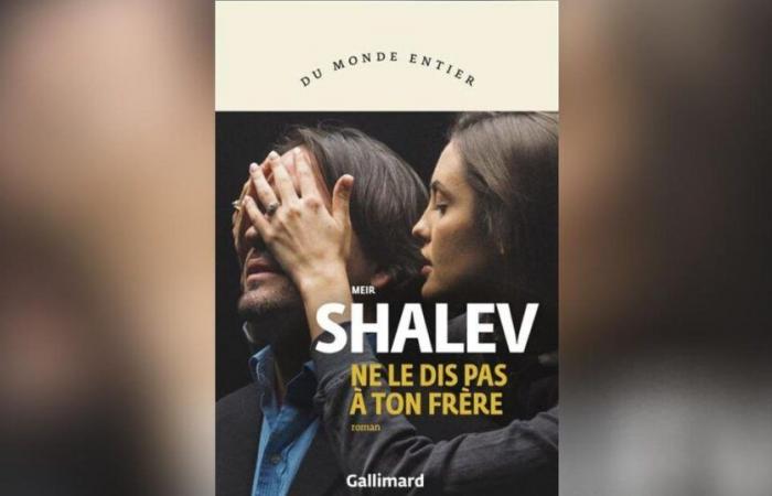 Non dirlo a tuo fratello, di Meir Shalev: Sii bello e stai zitto!