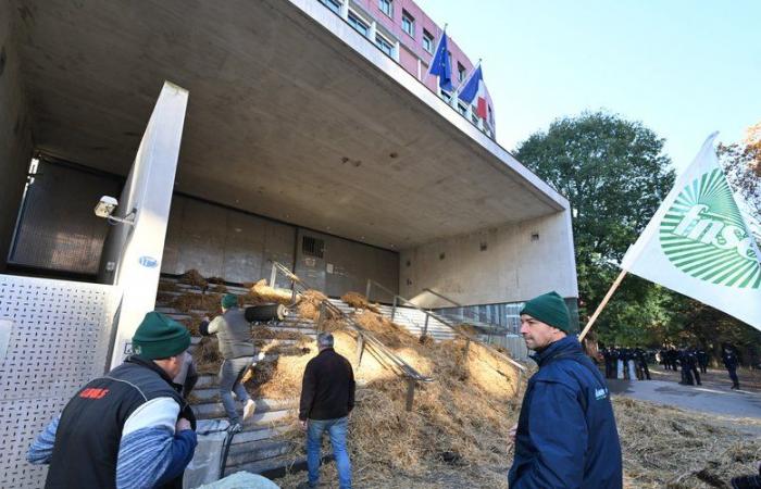 DIRETTO. Rabbia degli agricoltori: manifestazione in corso a Tolosa davanti alla Città amministrativa, Inrae preso di mira a Parigi