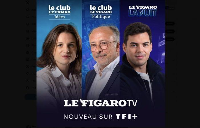 TF1+ continua a crescere con l'integrazione del canale Figaro TV e dei suoi contenuti