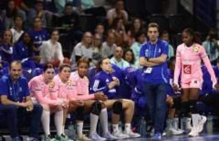 Francia (F) – Polonia (F), Campionato Europeo (F), in diretta il 28/11/2024