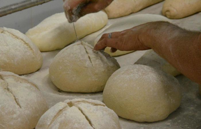 Un laboratorio di panetteria e pasticceria chiuso d'urgenza dalla prefettura della Vandea