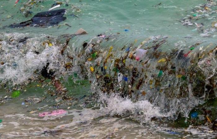 Come ridurre le disuguaglianze di fronte all’inquinamento da plastica? | Il nemico della plastica