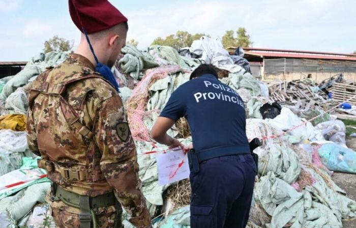 Riduzione degli incendi nella Terra del Fuoco nel 2024