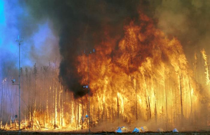 1,5 milioni di persone muoiono ogni anno nel mondo a causa dell’inquinamento provocato dagli incendi