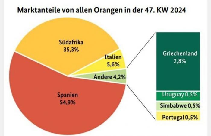 “L’assortimento europeo di arance ha acquisito una relativa importanza”