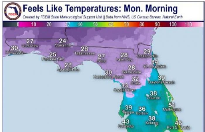 La mappa mostra le città della Florida destinate a congelarsi a causa degli attacchi del fronte freddo polare