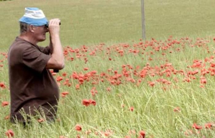 Gégé, un contadino in fuga