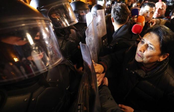 La polizia spara gas lacrimogeni contro i manifestanti pro-UE