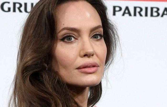 Brad Pitt e Angelina Jolie: presto svelate le “prove cruciali” sui presunti abusi dell'attore