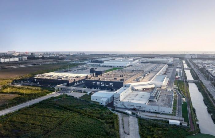 Finalmente abbiamo una data per l'arrivo della nuova Tesla Model Y, e arriverà presto