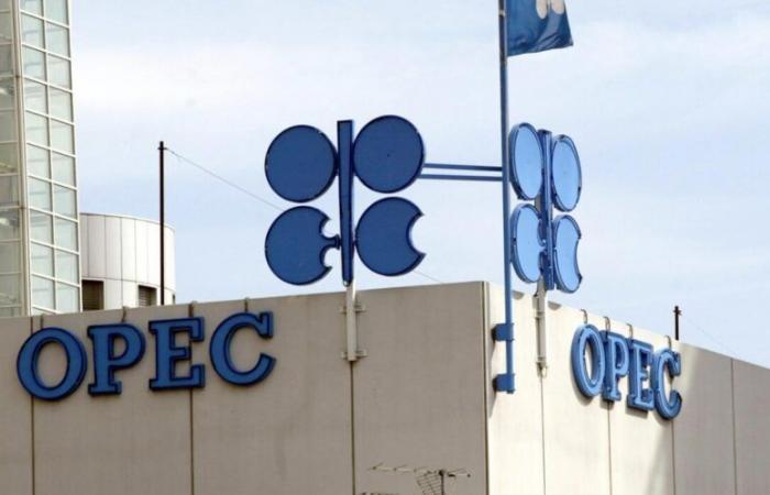 Sotto pressione per il calo del petrolio, l’OPEC+ rinvia la riunione