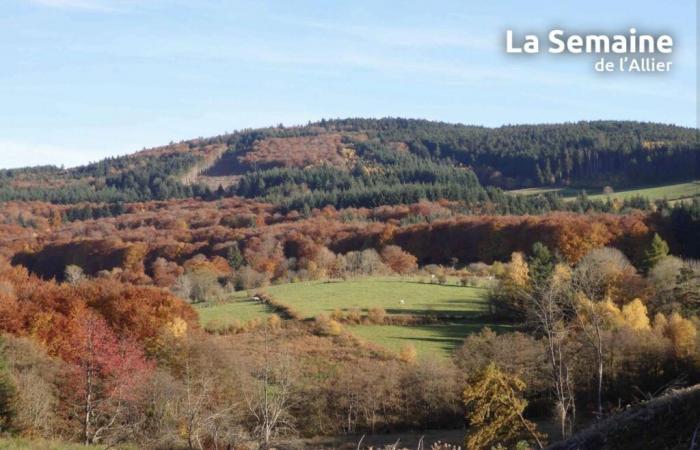 Allier (meteo) – Che tempo farà venerdì 29 novembre?