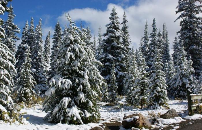 A 20 anni un escursionista sopravvive più di un mese da solo nella natura a -20°C