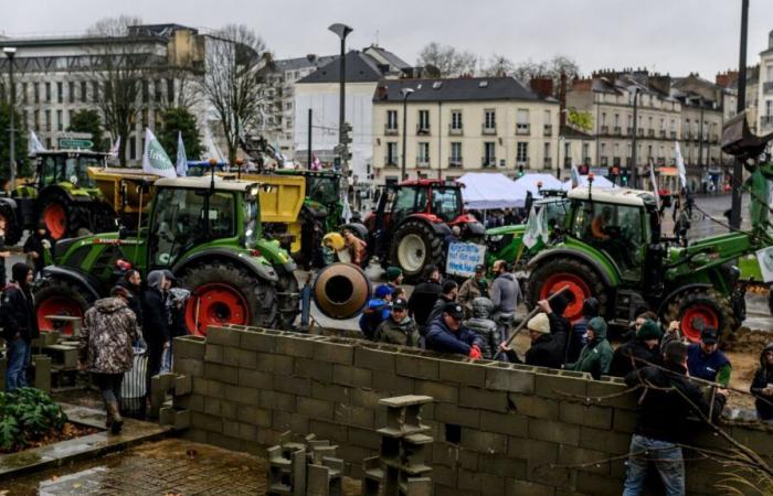 associazioni ambientaliste denunciano violenze durante le manifestazioni