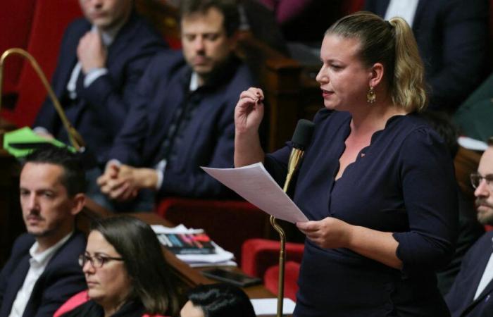 Per La France insoumise, la giornata di nicchia parlamentare si è trasformata in una scazzottata in seno all'Assemblea