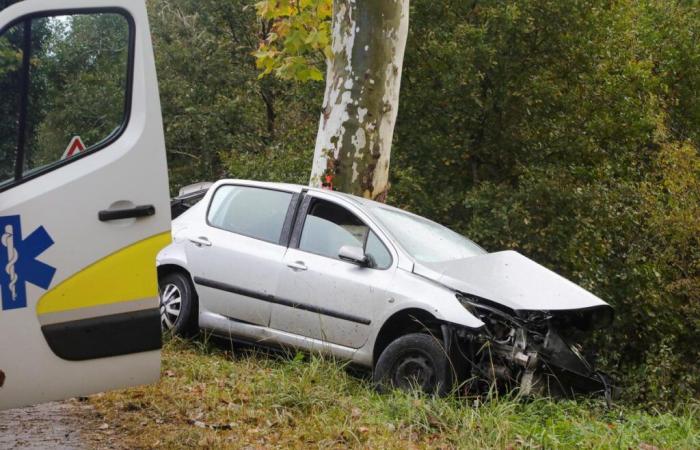 un anno di carcere per l'automobilista che ha ucciso il suo passeggero mentre guidava in stato di ebbrezza e a velocità eccessiva