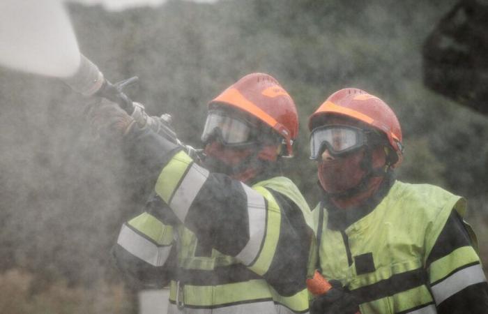 Più di 1,5 milioni di morti ogni anno sono legati all’inquinamento da incendi in tutto il mondo