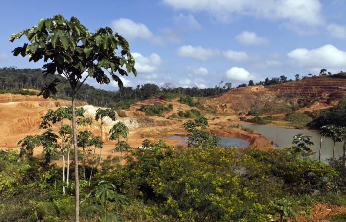 In Guyana il progetto “Montagne d’or” sarà presto sepolto