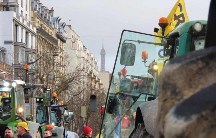 gli agricoltori erigono un muro davanti alla sede dell’INRAE ​​per denunciarne l’inerzia