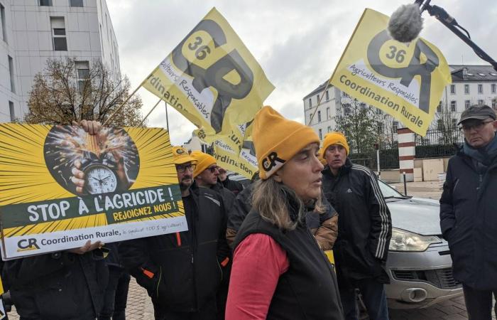 Si conclude la manifestazione dei contadini di Orléans: “Non otteniamo nulla, sperano che smobilitiamo”