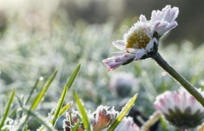 ecco i 56 dipartimenti in cui gelerà questo fine settimana