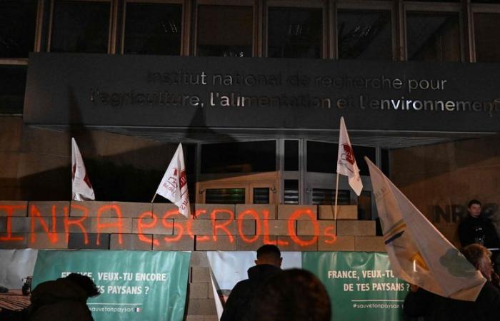 DIRETTO. Rabbia degli agricoltori: manifestazione in corso a Tolosa davanti alla Città amministrativa, Inrae preso di mira a Parigi