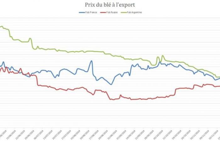 Il grano francese resta poco competitivo