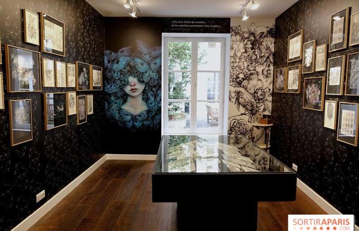 Benjamin Lacombe presenta “Papillon Noir”, la mostra gratuita alla Galerie Gallimard, le nostre foto