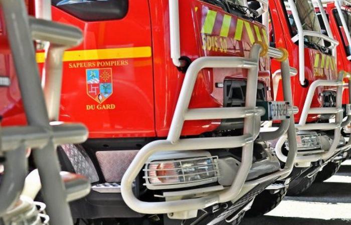 Sei camion frigo del Banco Alimentare distrutti da un incendio al mercato della stazione di Nîmes