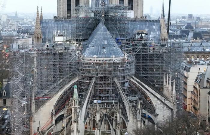 Notre-Dame: un progetto essenziale per le imprese del patrimonio