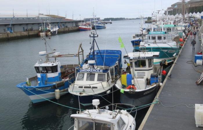 Quello che sappiamo della perquisizione al porto di Lorient nell'ambito di un accordo con l'Oman