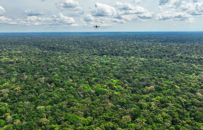 Risultati del concorso XPRIZE Rainforest: premiata la squadra brasiliana!