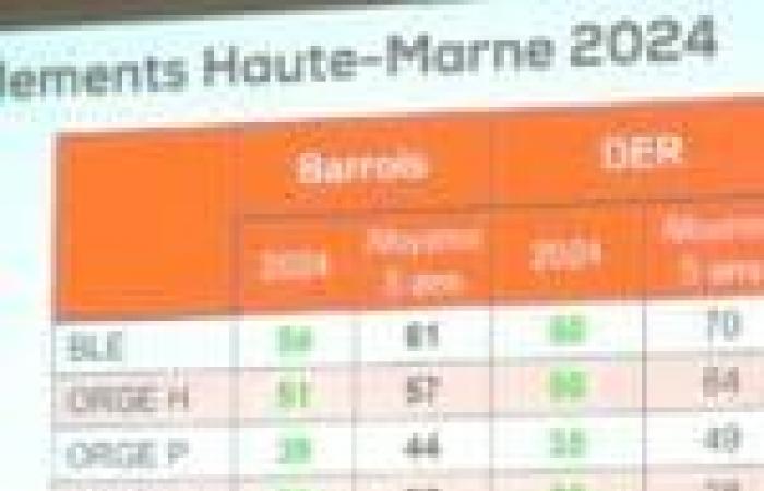 Situazione agricola nel Nord-Haute-Marne al 2024: valutazioni contrastanti