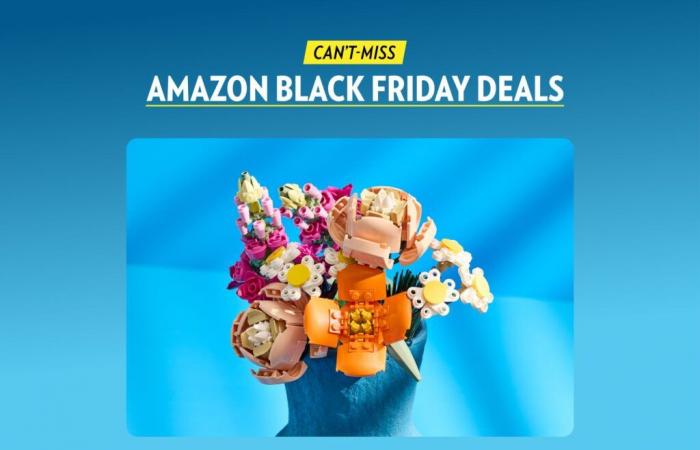 Le 15 migliori offerte Lego del Black Friday di Amazon per adulti e bambini