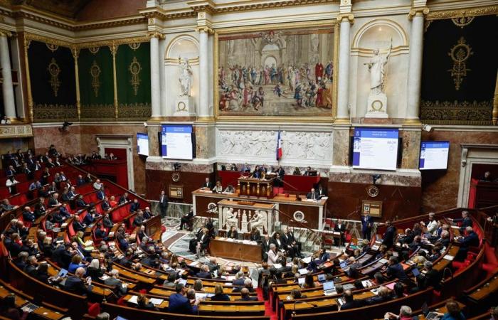 Dibattito sulle pensioni in Francia | Incidente tra deputati all'Assemblea nazionale