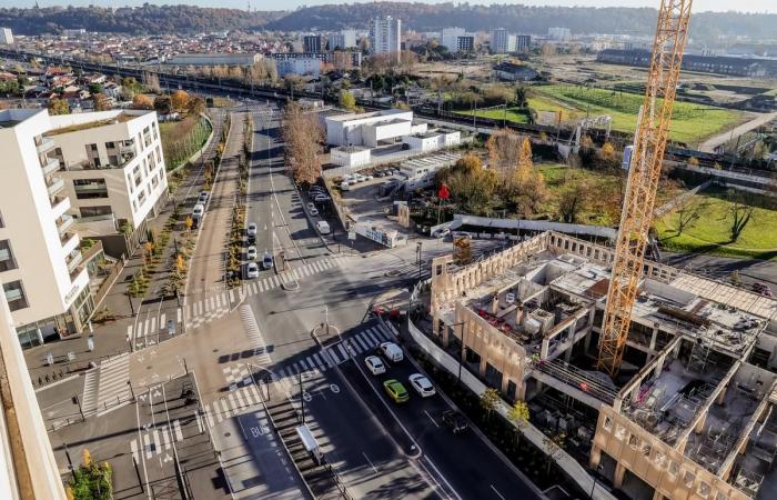 sulla riva destra più densa, il Belvédère prende vita