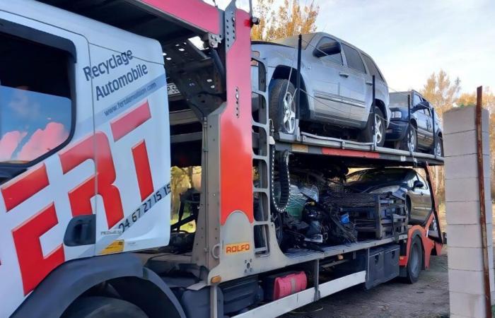 Un deposito di auto illegali in una zona agricola smantellato a Thor